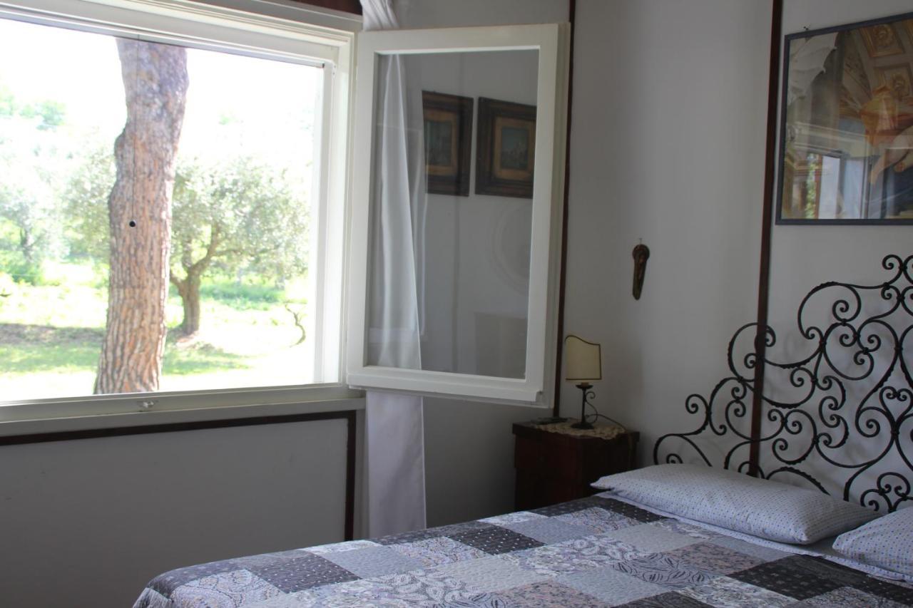 La Villa Del Nonno Montefelcino Екстер'єр фото