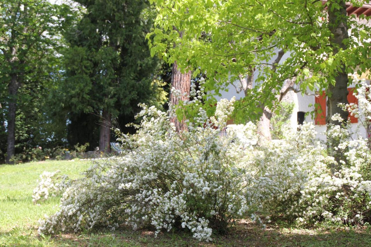 La Villa Del Nonno Montefelcino Екстер'єр фото