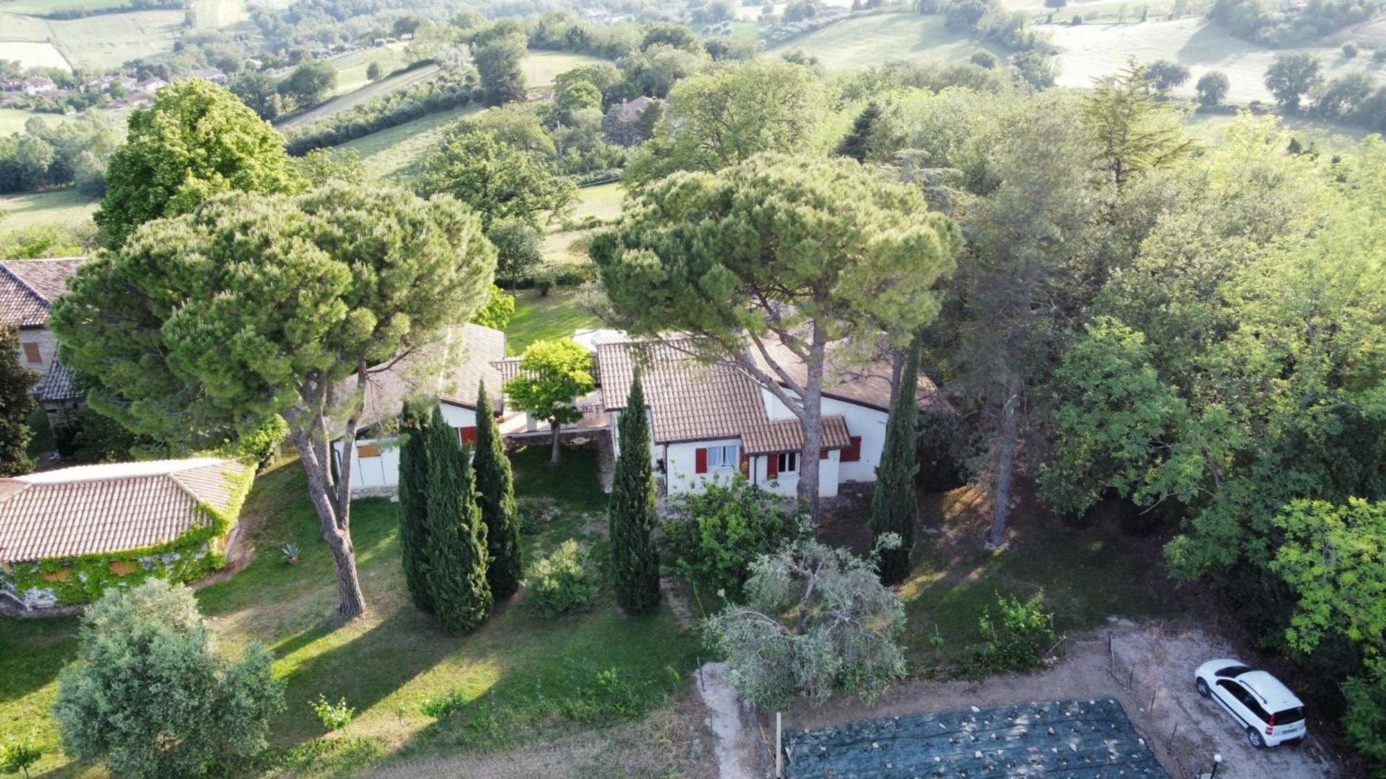 La Villa Del Nonno Montefelcino Екстер'єр фото
